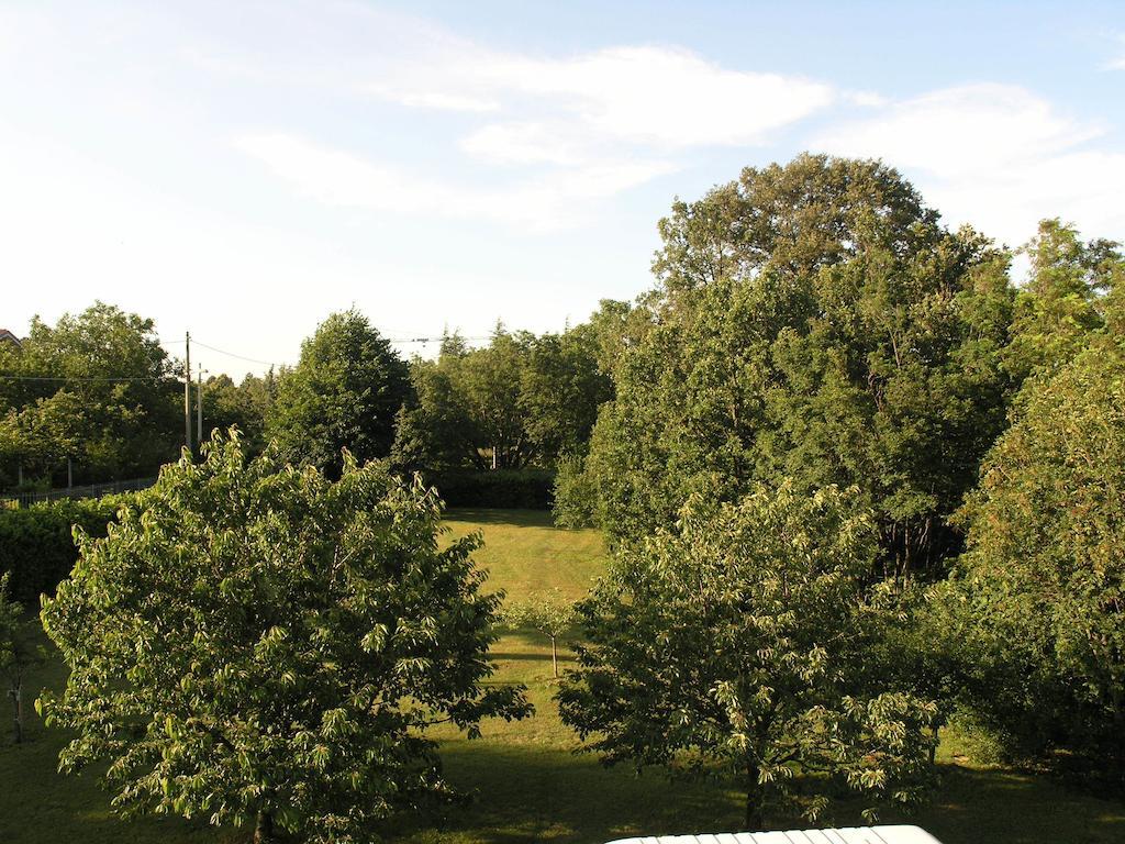 Štirenca B&B Trieste Dış mekan fotoğraf